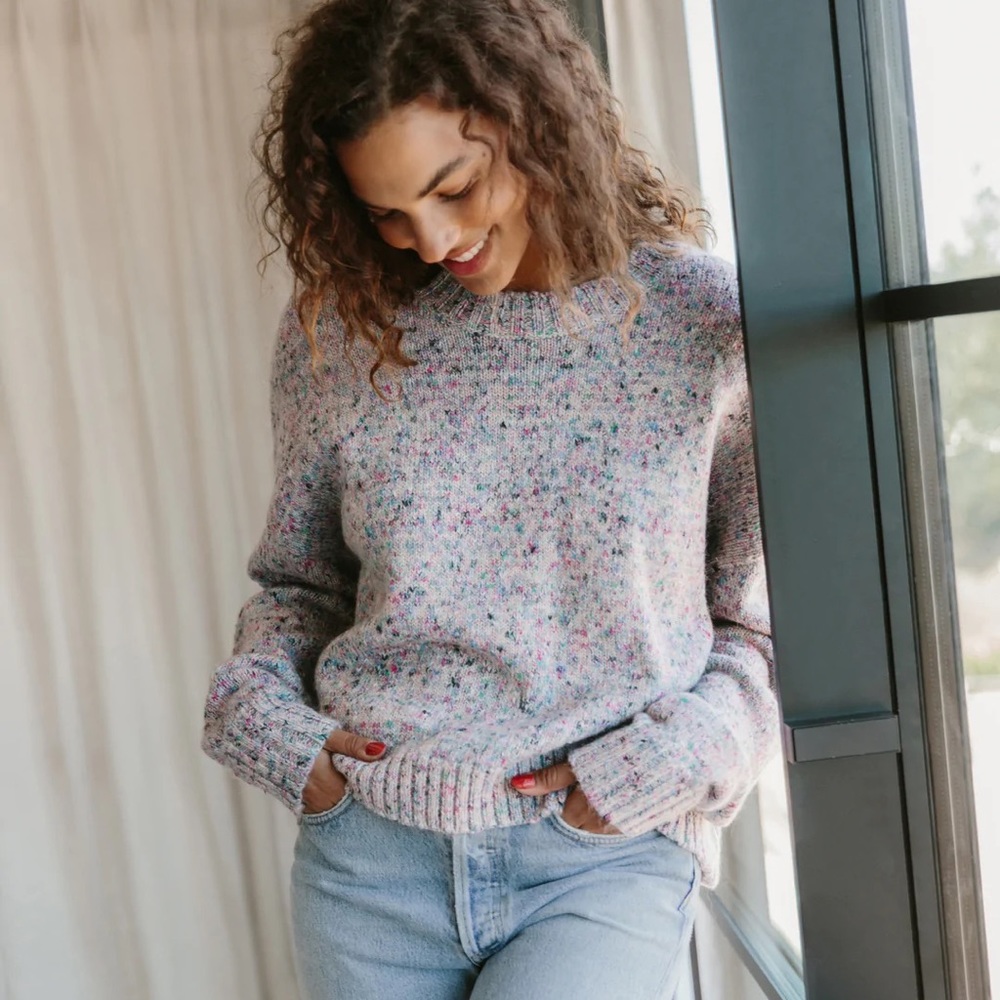 Jenni Kayne Cropped Cocoon Crewneck in Multi Marl, Brand New